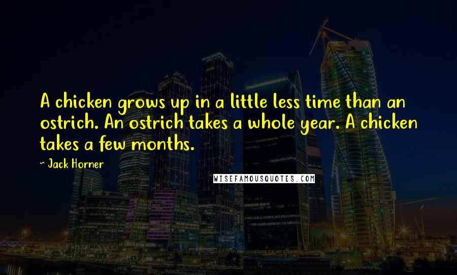 Jack Horner Quotes: A chicken grows up in a little less time than an ostrich. An ostrich takes a whole year. A chicken takes a few months.