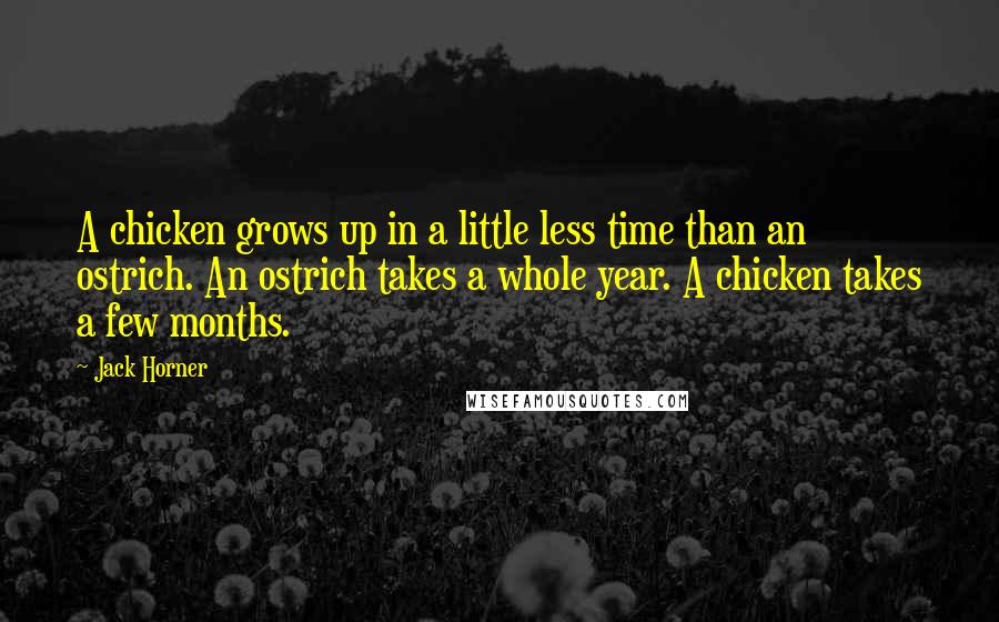 Jack Horner Quotes: A chicken grows up in a little less time than an ostrich. An ostrich takes a whole year. A chicken takes a few months.