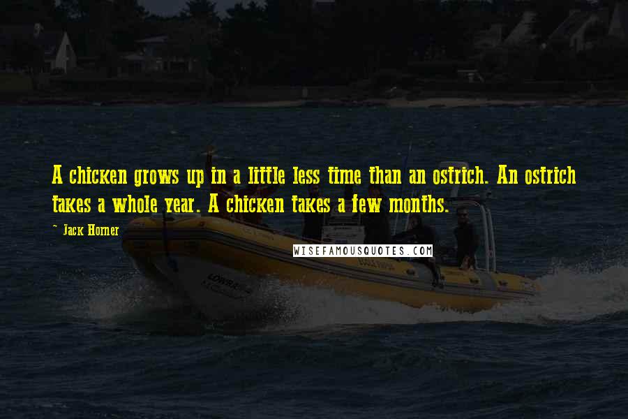 Jack Horner Quotes: A chicken grows up in a little less time than an ostrich. An ostrich takes a whole year. A chicken takes a few months.