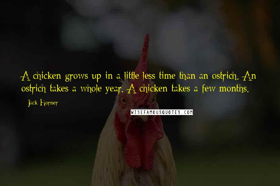 Jack Horner Quotes: A chicken grows up in a little less time than an ostrich. An ostrich takes a whole year. A chicken takes a few months.