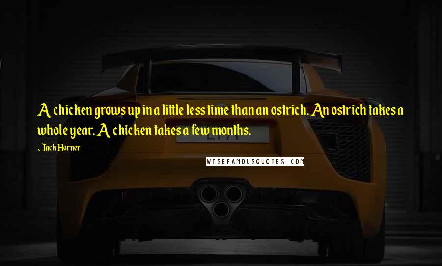 Jack Horner Quotes: A chicken grows up in a little less time than an ostrich. An ostrich takes a whole year. A chicken takes a few months.