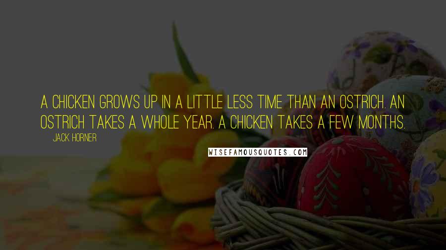 Jack Horner Quotes: A chicken grows up in a little less time than an ostrich. An ostrich takes a whole year. A chicken takes a few months.