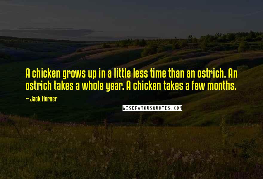 Jack Horner Quotes: A chicken grows up in a little less time than an ostrich. An ostrich takes a whole year. A chicken takes a few months.