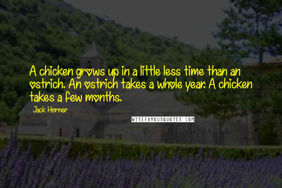 Jack Horner Quotes: A chicken grows up in a little less time than an ostrich. An ostrich takes a whole year. A chicken takes a few months.