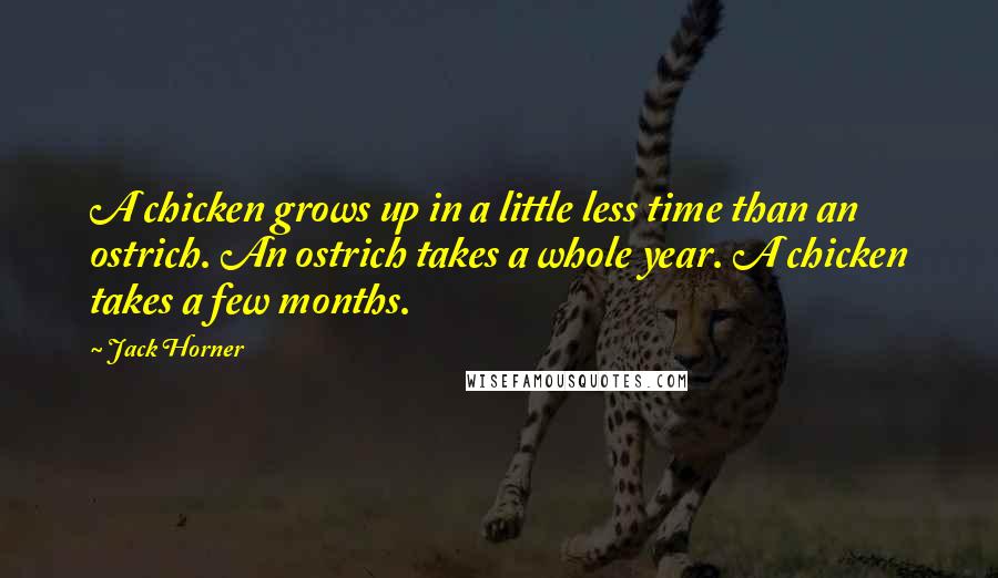 Jack Horner Quotes: A chicken grows up in a little less time than an ostrich. An ostrich takes a whole year. A chicken takes a few months.