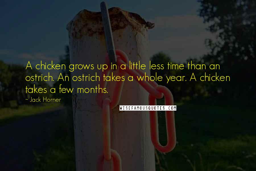 Jack Horner Quotes: A chicken grows up in a little less time than an ostrich. An ostrich takes a whole year. A chicken takes a few months.