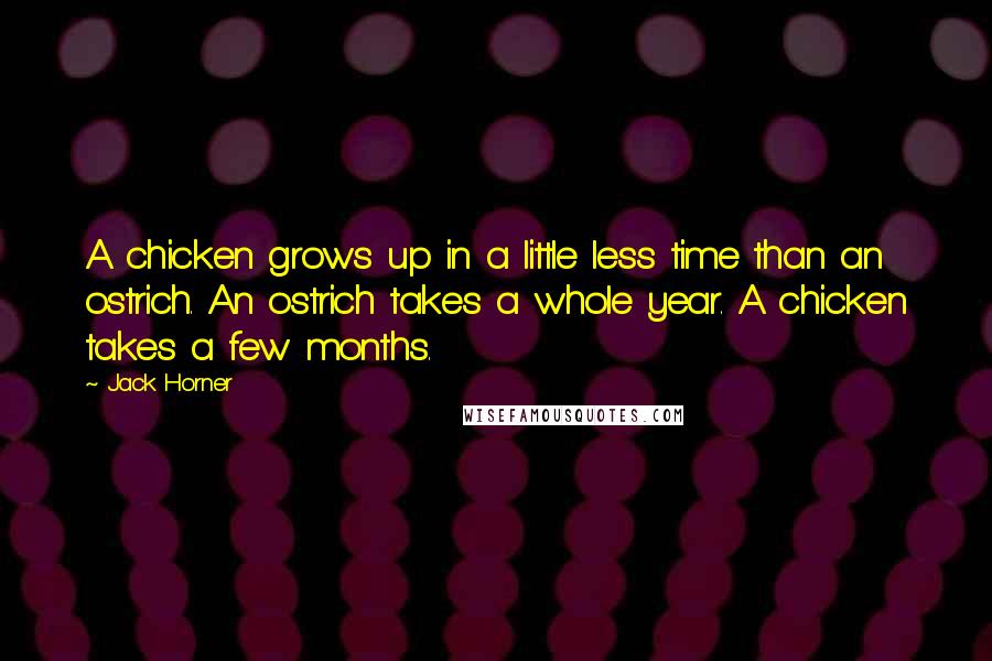 Jack Horner Quotes: A chicken grows up in a little less time than an ostrich. An ostrich takes a whole year. A chicken takes a few months.