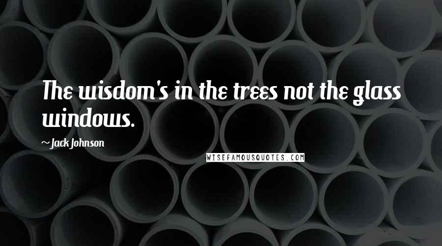 Jack Johnson Quotes: The wisdom's in the trees not the glass windows.