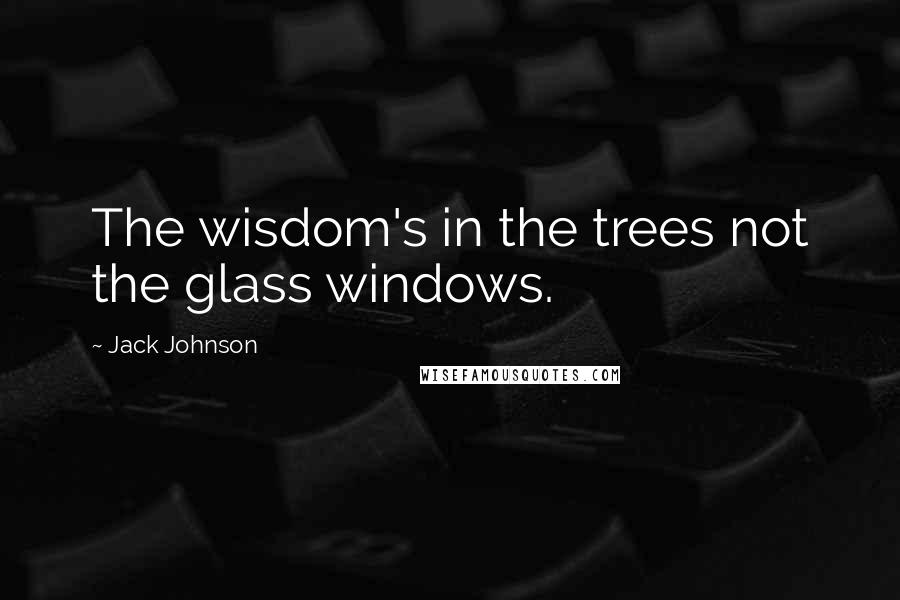 Jack Johnson Quotes: The wisdom's in the trees not the glass windows.