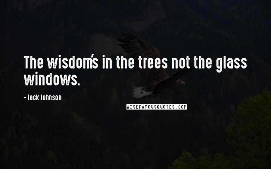 Jack Johnson Quotes: The wisdom's in the trees not the glass windows.