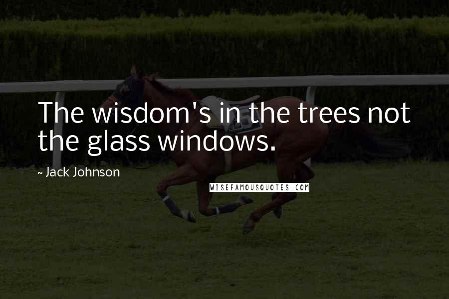 Jack Johnson Quotes: The wisdom's in the trees not the glass windows.