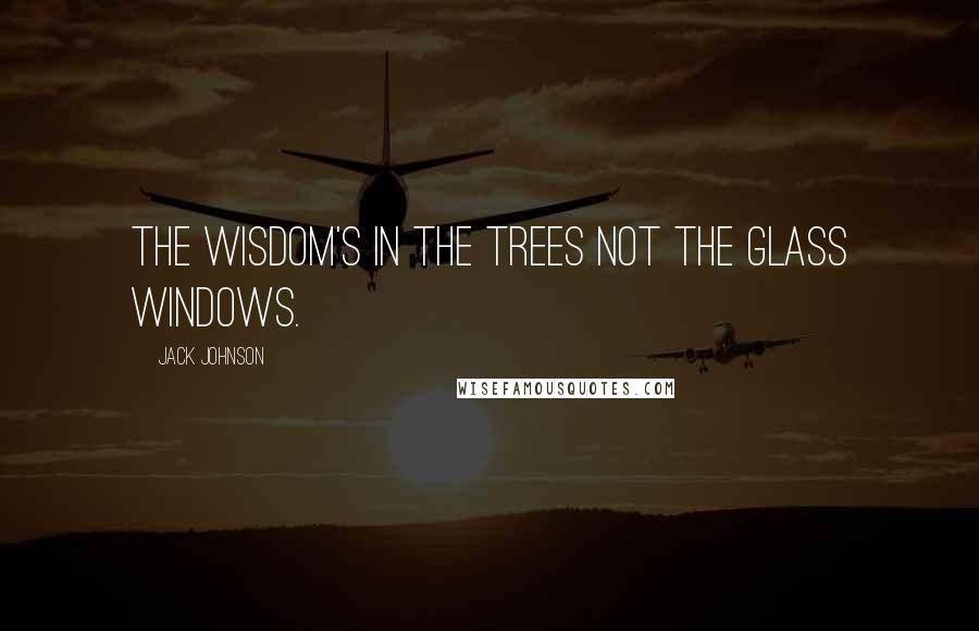 Jack Johnson Quotes: The wisdom's in the trees not the glass windows.