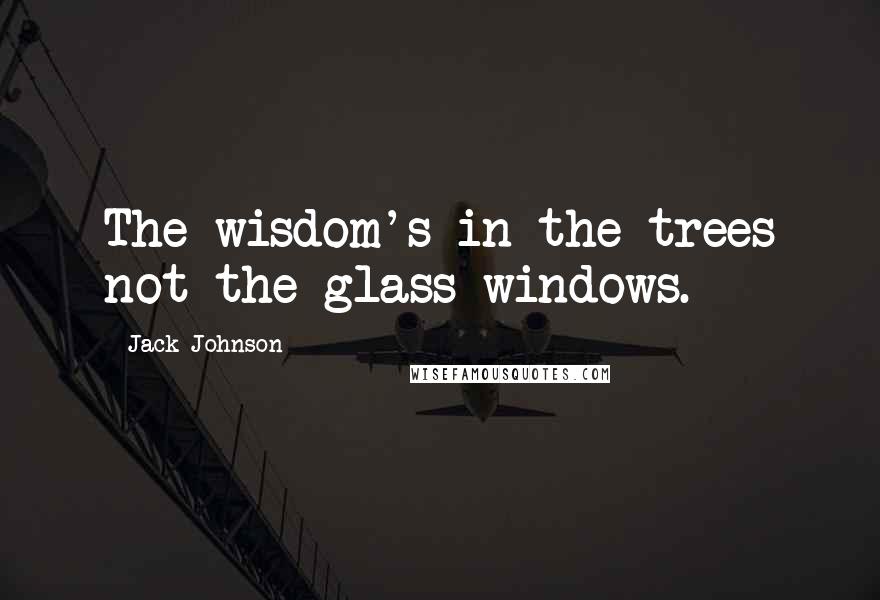 Jack Johnson Quotes: The wisdom's in the trees not the glass windows.