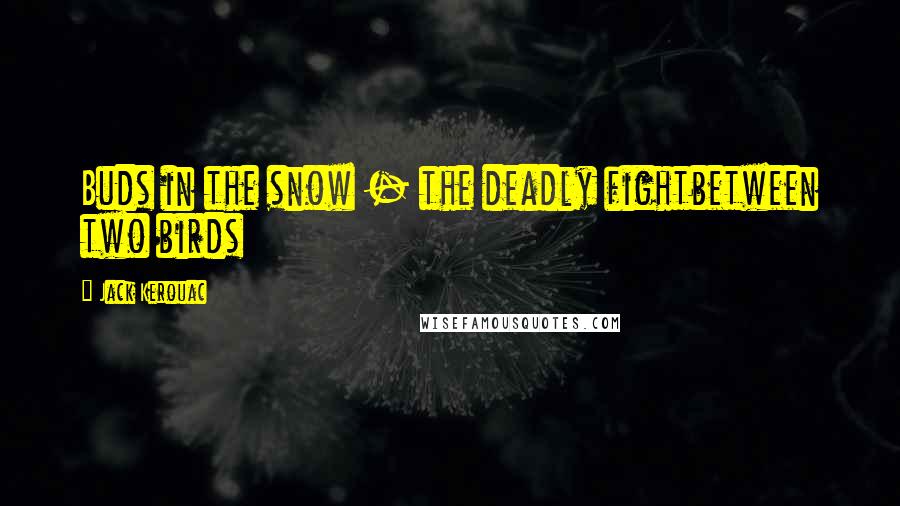 Jack Kerouac Quotes: Buds in the snow - the deadly fightbetween two birds