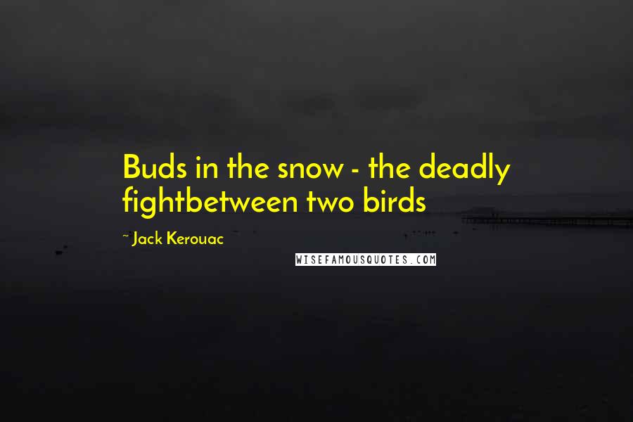 Jack Kerouac Quotes: Buds in the snow - the deadly fightbetween two birds
