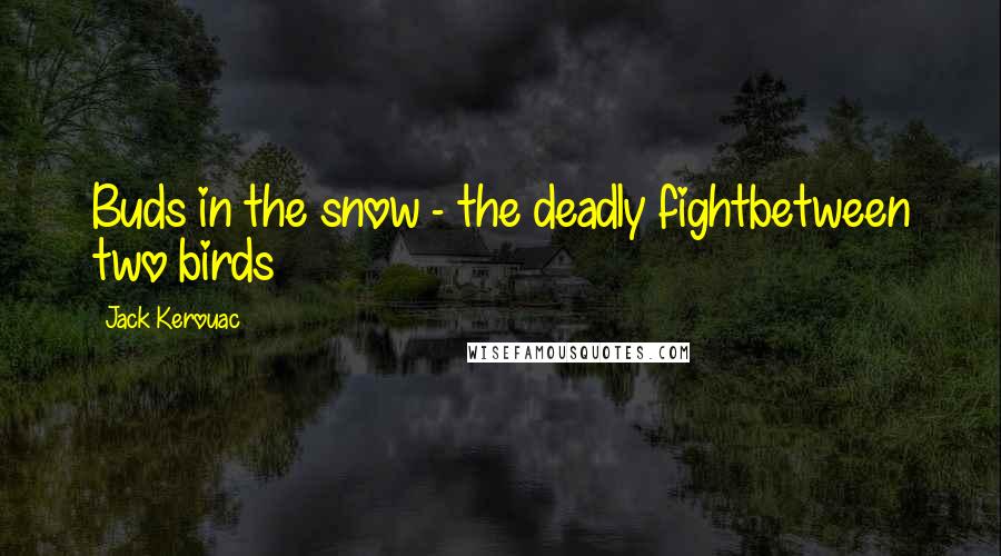 Jack Kerouac Quotes: Buds in the snow - the deadly fightbetween two birds