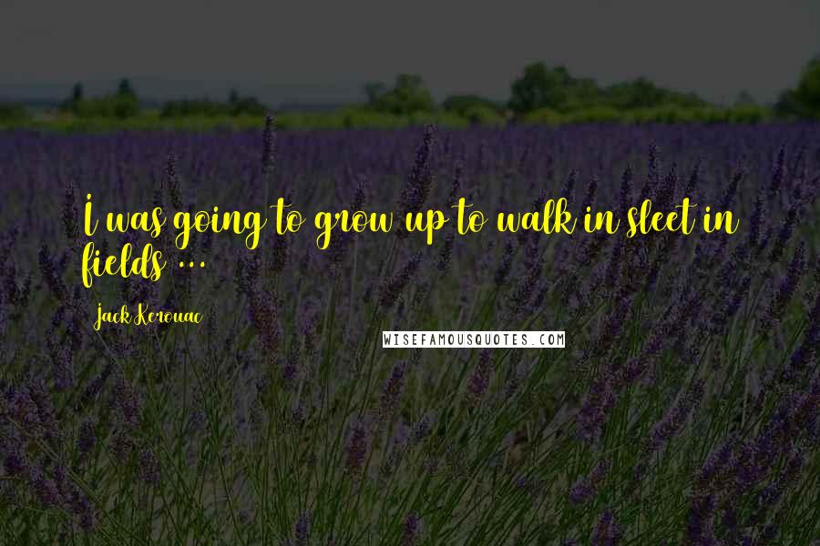 Jack Kerouac Quotes: I was going to grow up to walk in sleet in fields ...