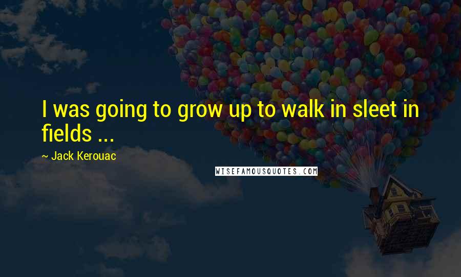 Jack Kerouac Quotes: I was going to grow up to walk in sleet in fields ...