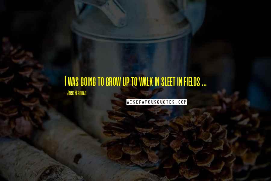 Jack Kerouac Quotes: I was going to grow up to walk in sleet in fields ...