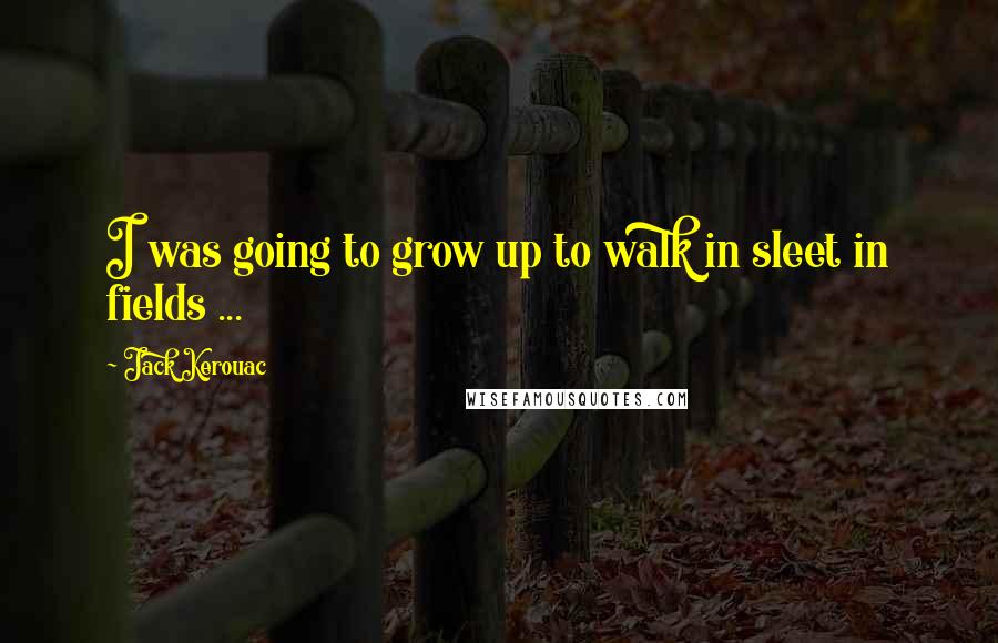 Jack Kerouac Quotes: I was going to grow up to walk in sleet in fields ...