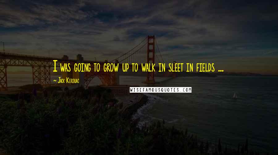 Jack Kerouac Quotes: I was going to grow up to walk in sleet in fields ...