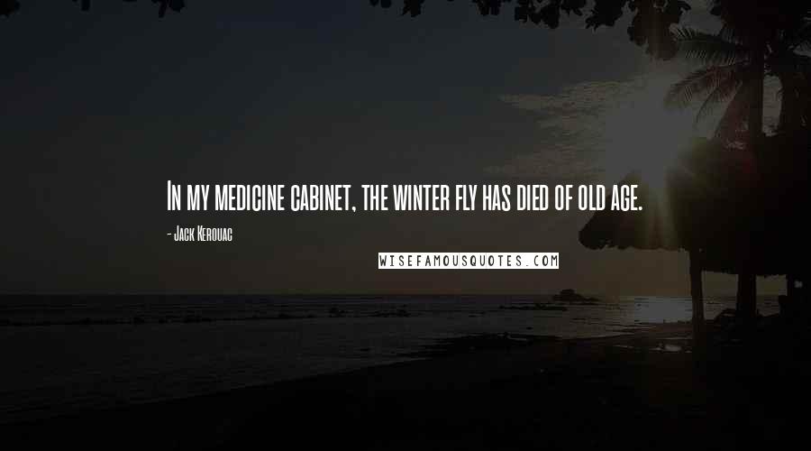Jack Kerouac Quotes: In my medicine cabinet, the winter fly has died of old age.