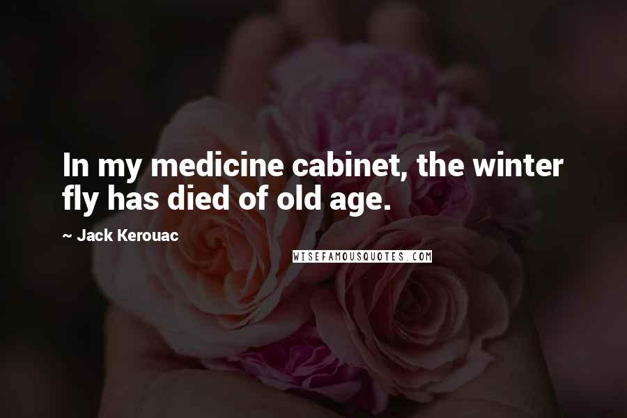 Jack Kerouac Quotes: In my medicine cabinet, the winter fly has died of old age.
