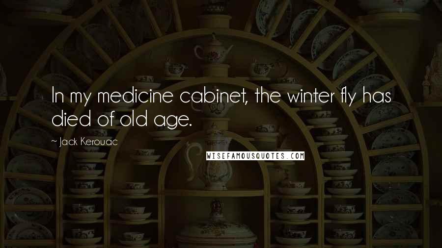 Jack Kerouac Quotes: In my medicine cabinet, the winter fly has died of old age.