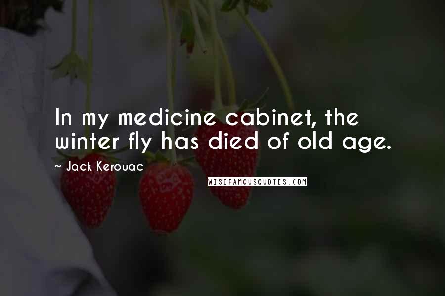 Jack Kerouac Quotes: In my medicine cabinet, the winter fly has died of old age.