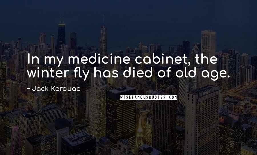 Jack Kerouac Quotes: In my medicine cabinet, the winter fly has died of old age.