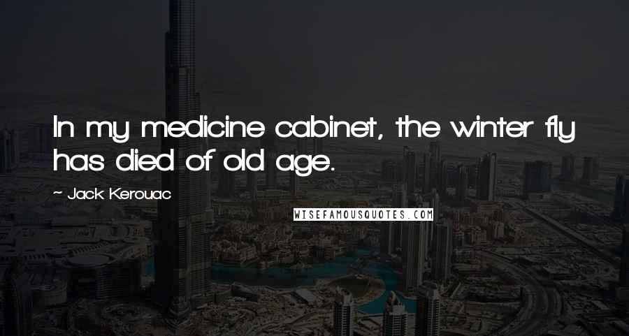 Jack Kerouac Quotes: In my medicine cabinet, the winter fly has died of old age.