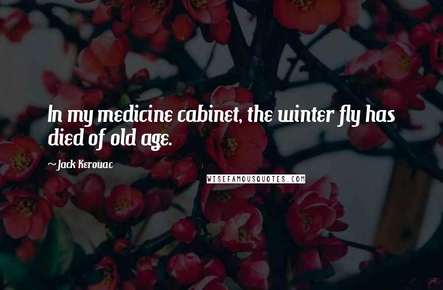 Jack Kerouac Quotes: In my medicine cabinet, the winter fly has died of old age.