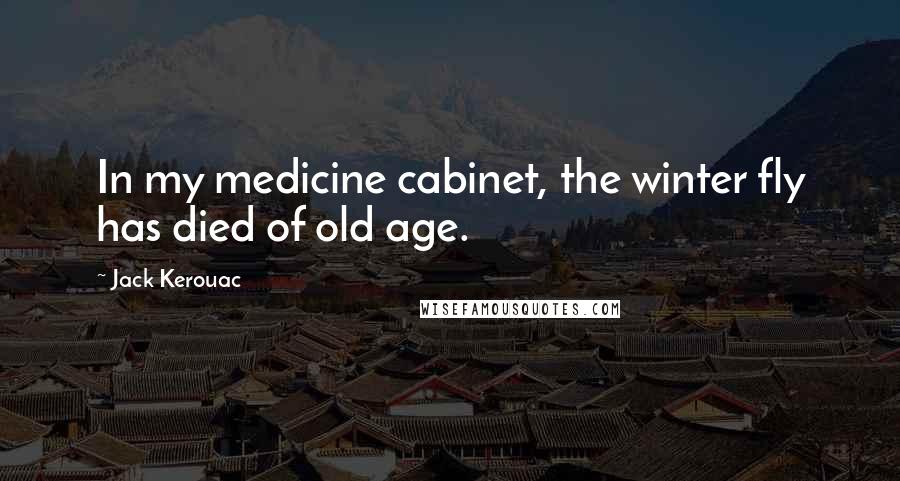 Jack Kerouac Quotes: In my medicine cabinet, the winter fly has died of old age.