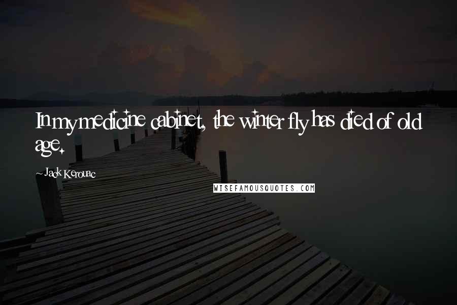 Jack Kerouac Quotes: In my medicine cabinet, the winter fly has died of old age.