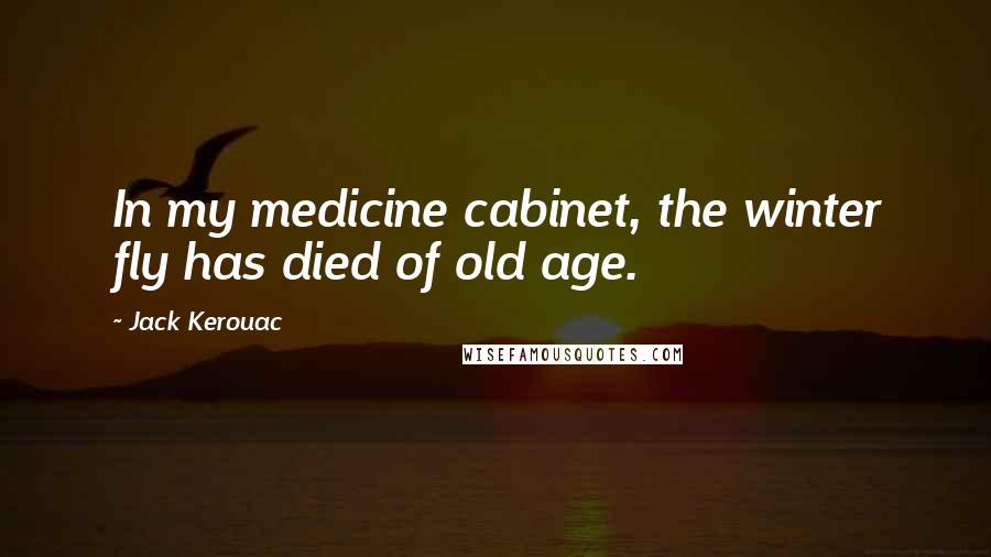 Jack Kerouac Quotes: In my medicine cabinet, the winter fly has died of old age.