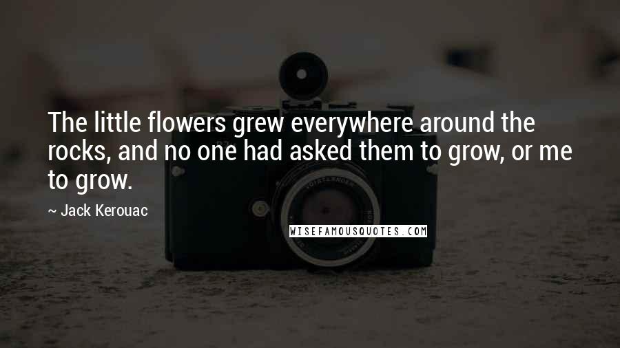 Jack Kerouac Quotes: The little flowers grew everywhere around the rocks, and no one had asked them to grow, or me to grow.