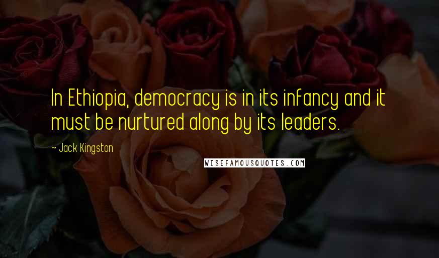 Jack Kingston Quotes: In Ethiopia, democracy is in its infancy and it must be nurtured along by its leaders.