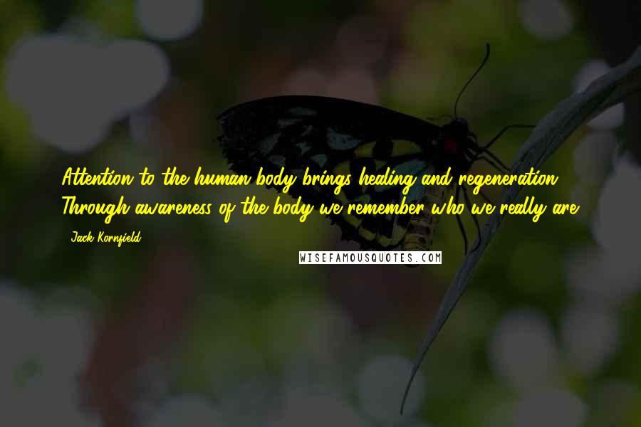 Jack Kornfield Quotes: Attention to the human body brings healing and regeneration. Through awareness of the body we remember who we really are.