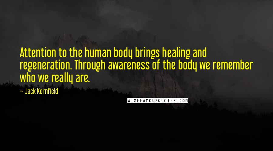 Jack Kornfield Quotes: Attention to the human body brings healing and regeneration. Through awareness of the body we remember who we really are.