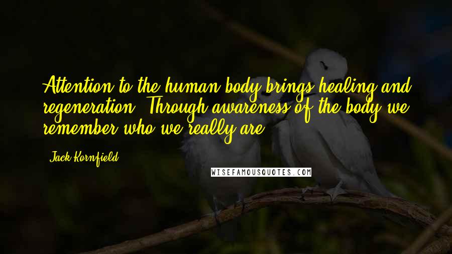 Jack Kornfield Quotes: Attention to the human body brings healing and regeneration. Through awareness of the body we remember who we really are.