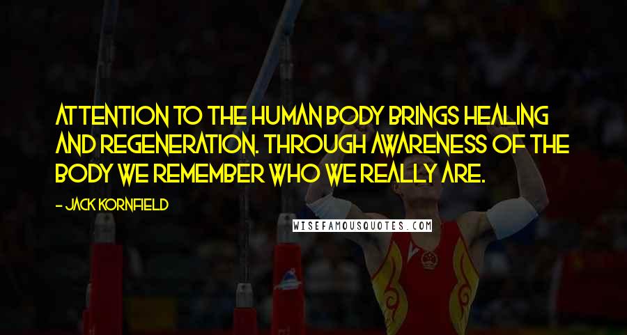 Jack Kornfield Quotes: Attention to the human body brings healing and regeneration. Through awareness of the body we remember who we really are.