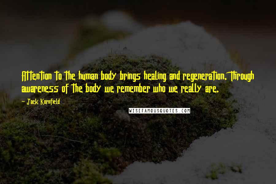 Jack Kornfield Quotes: Attention to the human body brings healing and regeneration. Through awareness of the body we remember who we really are.