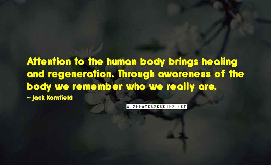 Jack Kornfield Quotes: Attention to the human body brings healing and regeneration. Through awareness of the body we remember who we really are.