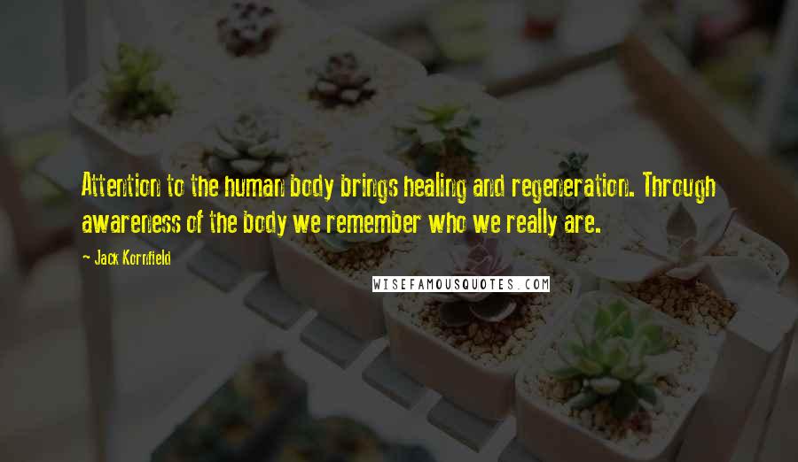 Jack Kornfield Quotes: Attention to the human body brings healing and regeneration. Through awareness of the body we remember who we really are.