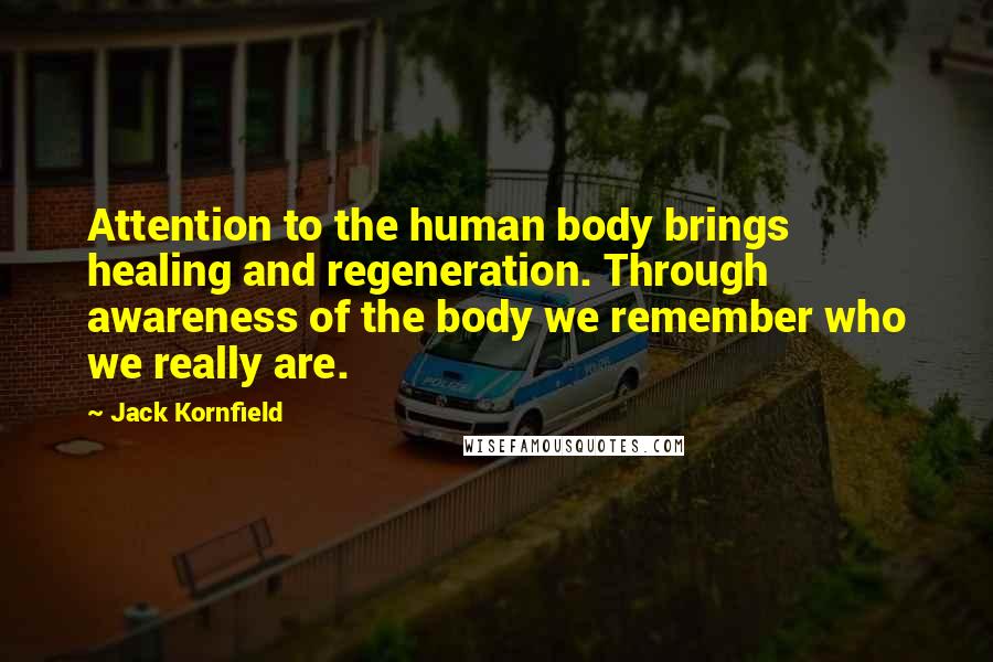 Jack Kornfield Quotes: Attention to the human body brings healing and regeneration. Through awareness of the body we remember who we really are.