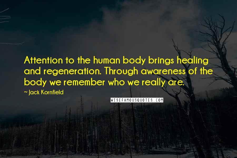 Jack Kornfield Quotes: Attention to the human body brings healing and regeneration. Through awareness of the body we remember who we really are.