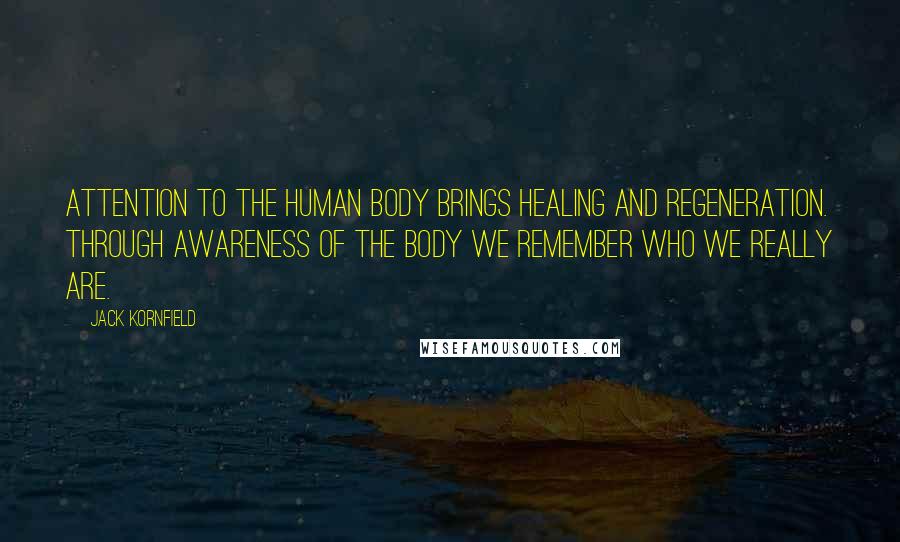 Jack Kornfield Quotes: Attention to the human body brings healing and regeneration. Through awareness of the body we remember who we really are.