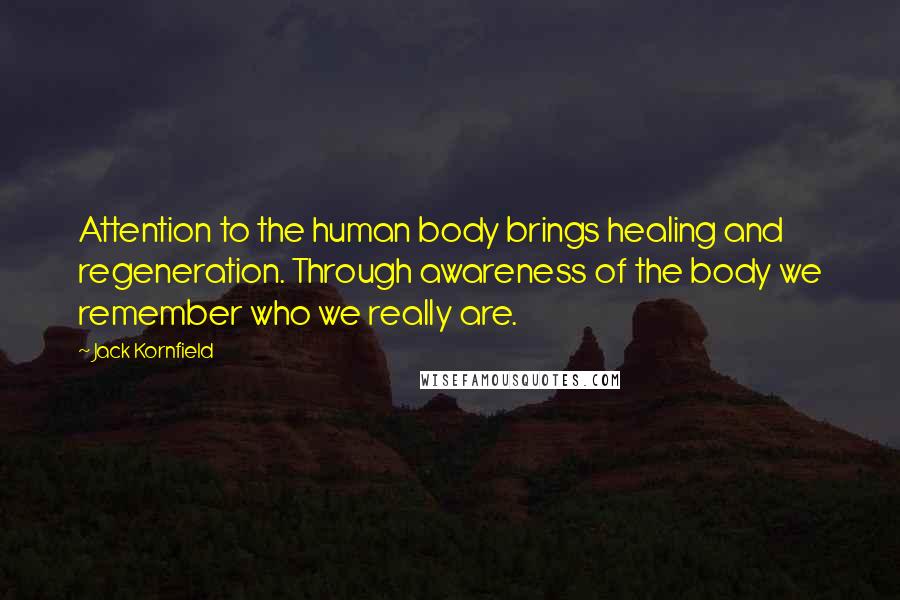 Jack Kornfield Quotes: Attention to the human body brings healing and regeneration. Through awareness of the body we remember who we really are.