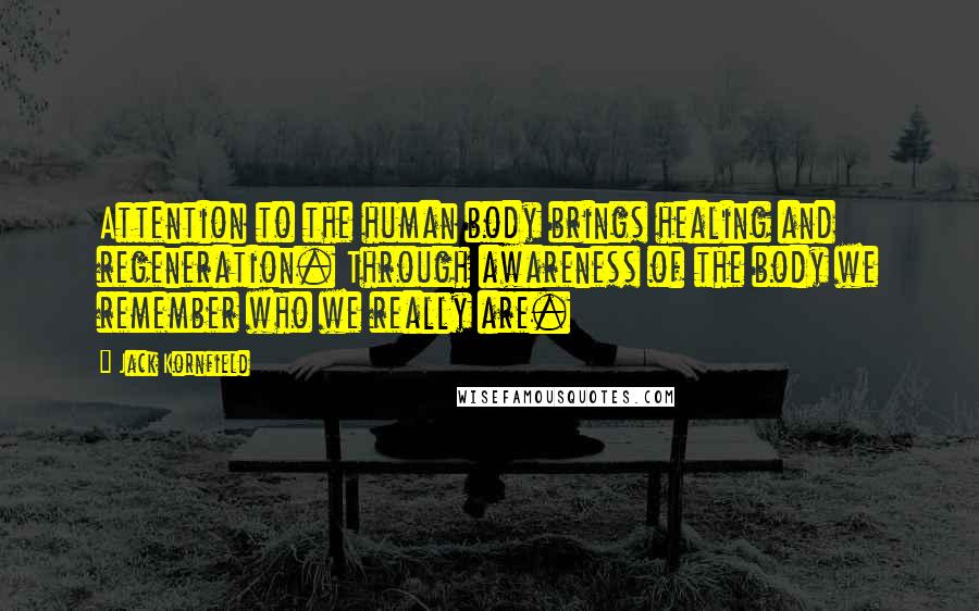 Jack Kornfield Quotes: Attention to the human body brings healing and regeneration. Through awareness of the body we remember who we really are.