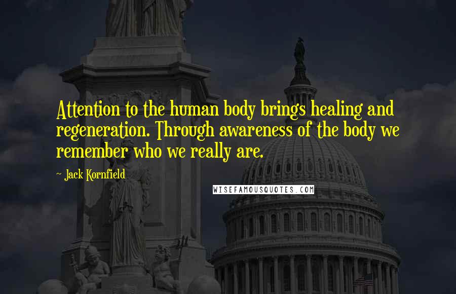 Jack Kornfield Quotes: Attention to the human body brings healing and regeneration. Through awareness of the body we remember who we really are.